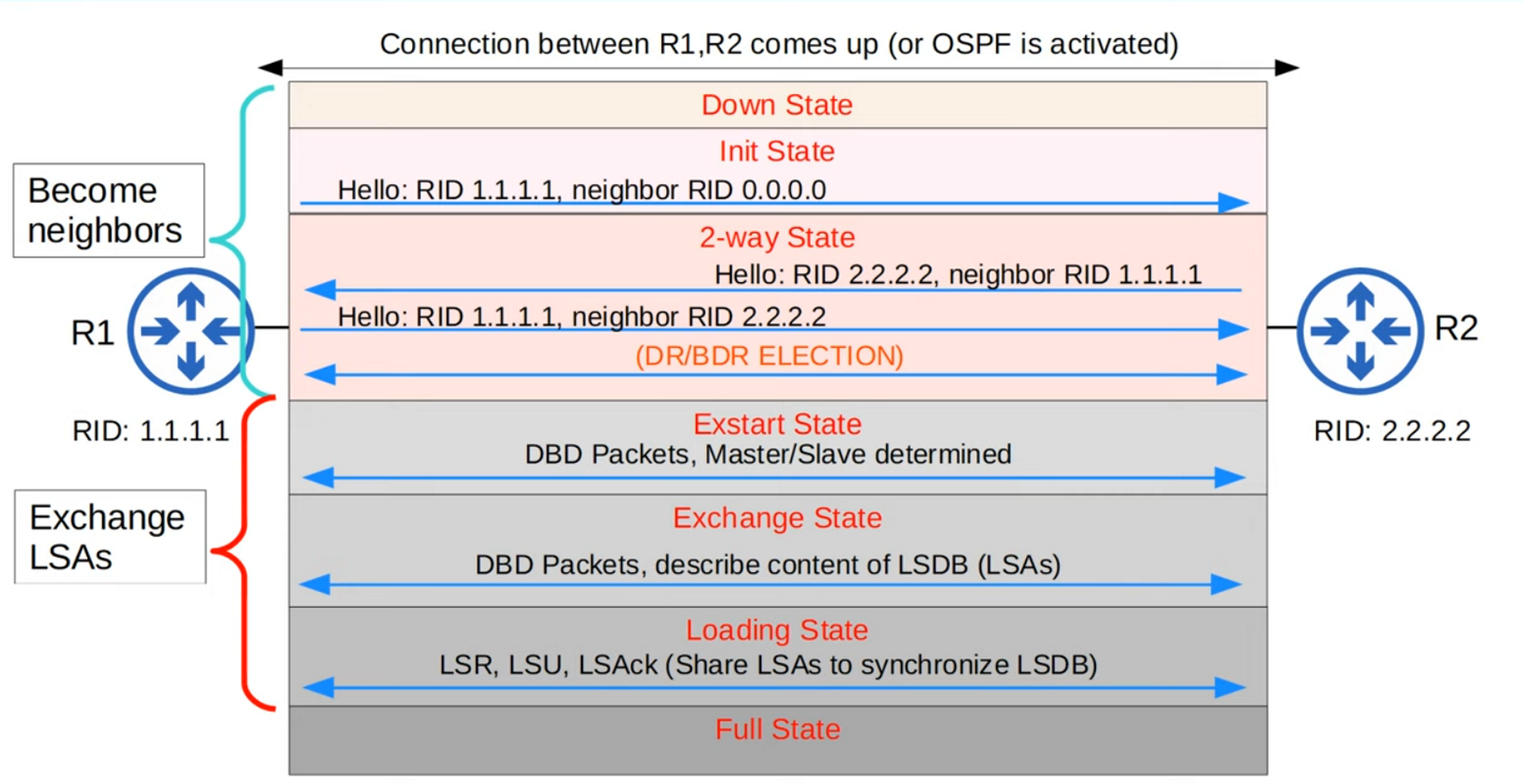 OSPF neighbor states